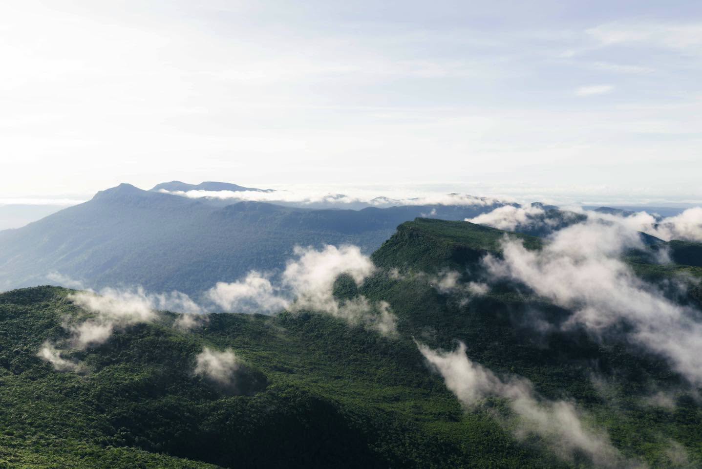 Hiking through thick forests